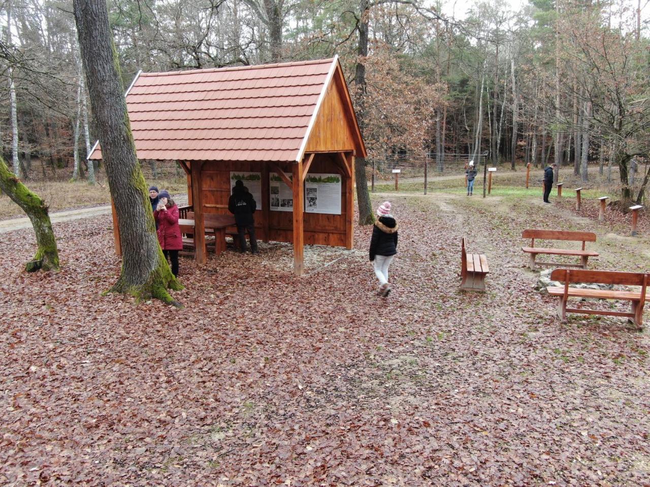 Boronaház Fogadó Szalafő Exterior foto